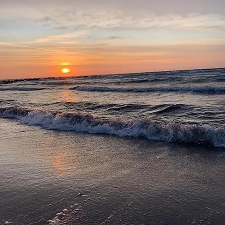 Seeschwalbe *