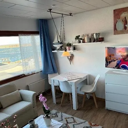 Seeschwalbe Burgtiefe auf Fehmarn